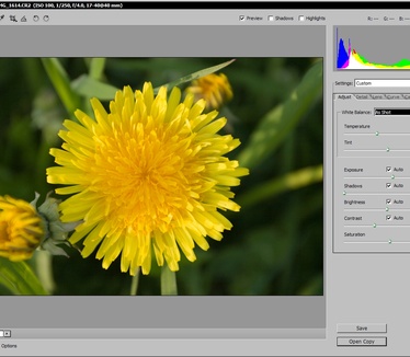 Adobe Camera Raw 3.4 - Canon EOS 30D (groot) © djengizz