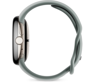 Google Pixel Watch 2 Goud (Grijs)