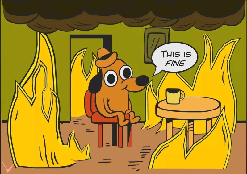 Afbeeldingslocatie: https://tweakers.net/i/X3cl-WBBJPeAW66xo8AZRRxG60I=/800x/filters:strip_icc():strip_exif()/f/image/cmvC31HmfzS0QGjCNQNoGmt3.jpg?f=fotoalbum_large