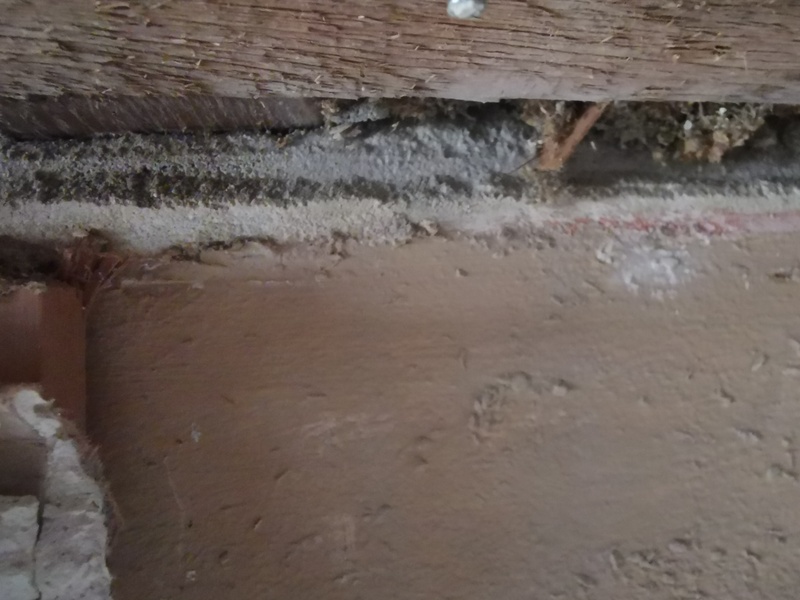 Afbeeldingslocatie: https://tweakers.net/i/X7LJnbLhh_aEkhG6jnMRGgOAzlU=/800x/filters:strip_icc():strip_exif()/f/image/lXEtX9527JL3YqnZLI8Y8vzi.jpg?f=fotoalbum_large