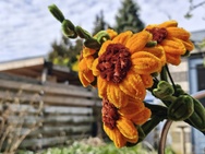 Phone 4a Pro cameratest - 2x zoom