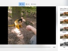 Windows 10 Fall Creators Update Photos Remix
