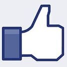 Facebook Like