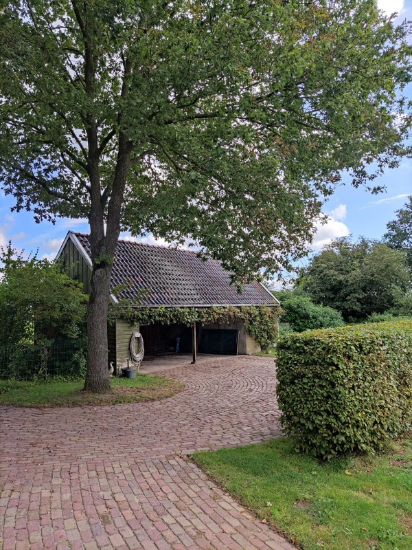 Afbeeldingslocatie: https://tweakers.net/i/X8y1_lN8WCOSS-xptwxgq3ni3Y8=/x800/filters:strip_icc():strip_exif()/f/image/mlTTfoSIVCGeBD0QE0GrLwgF.jpg?f=fotoalbum_large