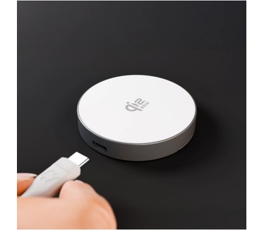 Dbramante1928 CH15WLAL7263