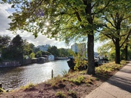 Cameratest OnePlus Nord 3 - Primaire camera overdag