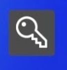 Wachtwoord-icoon Windows 11