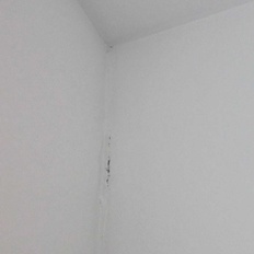 Afbeeldingslocatie: https://tweakers.net/i/XHL33fr3uTlrCIZ6jCF7WKnqkdM=/232x232/filters:strip_icc():strip_exif()/f/image/G5NR6TyOrZcSoT9ofSJVZLky.jpg?f=fotoalbum_tile