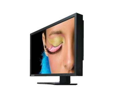 NEC SpectraView 232