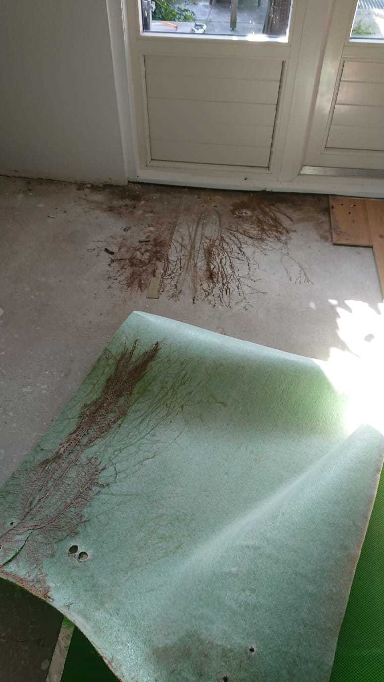 Afbeeldingslocatie: https://tweakers.net/i/XIKPI3mhDOpFHZ0Osi6KjLqkQuM=/full-fit-in/4920x3264/filters:max_bytes(3145728):no_upscale():strip_icc():fill(white):strip_exif()/f/image/lAbiHXr5lKwYpEDmcol5sqQP.jpg?f=user_large