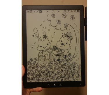 Good e-Reader 13.3