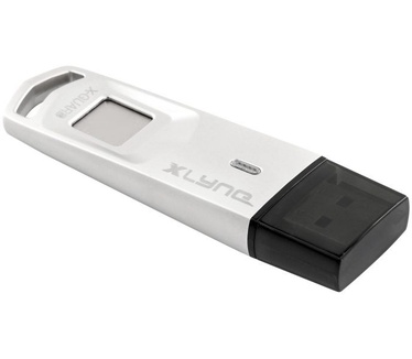 Xlyne 7964002