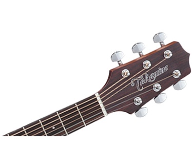 Takamine GD20CE-NS