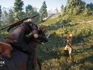 The Witcher 3: Wild Hunt