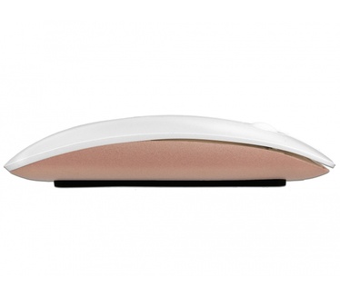 Delock 12536