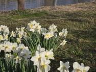 Xiaomi 17 Cameratest - Telecamera