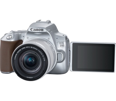 Canon EOS 250D + 18-55mm f/4-5.6 Zilver