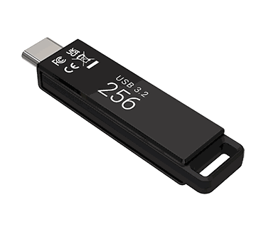 PNY Elite-X Type-C 256GB Zwart