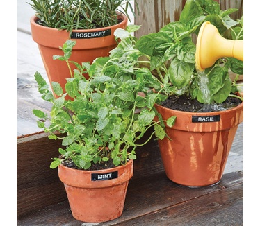 Dymo DYMO LabelManager 160-labelmaker | Draagbare labelprinter met AZERTY-toetsenbord | Inclusief zwart-wit D1-etiketten (12 mm) | Voor thuis en op kantoor