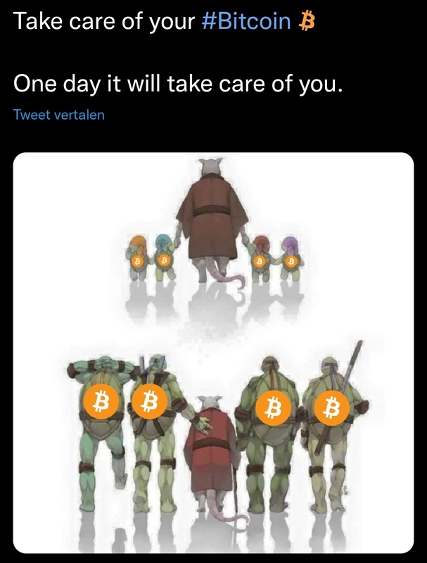 Afbeeldingslocatie: https://tweakers.net/i/XRm-bFSmX15X0qEmkrgfWtuNr_o=/x800/filters:strip_icc():strip_exif()/f/image/SgKbFDhRcWJwMoZmG2c5OfTF.jpg?f=fotoalbum_large