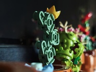 Cameratest - 2x zoom