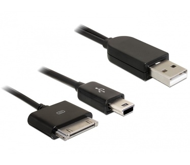 Delock USB 2.0/iPhone + mini USB