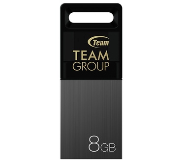 Team Group M151 8GB Grijs