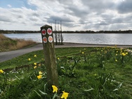 Phone 4a Pro cameratest - Hoofdcamera