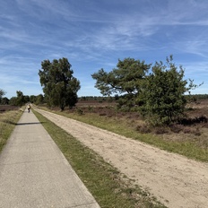 Afbeeldingslocatie: https://tweakers.net/i/X_GiyJvgAUO82-jE4QnFGUkxaPY=/232x232/filters:strip_icc():strip_exif()/f/image/VTVA5JUczVvNLAHjwhymav3O.jpg?f=fotoalbum_tile