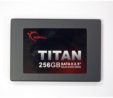 G.Skill Titan FM-25S2S-256GBT1