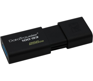 Kingston 100 G3 256GB