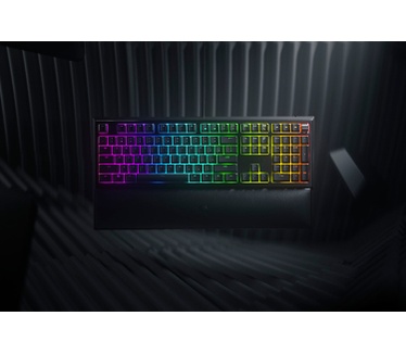 Razer Ornata V2 (Qwerty US)