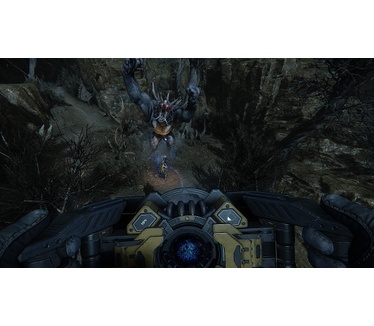 Evolve, Windows