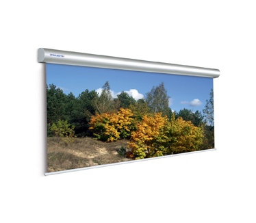 Projecta Master Electrol 300x400 Matte White P