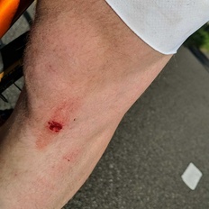 Afbeeldingslocatie: https://tweakers.net/i/XdgnO6hqKkkkORGd2tCERSkXThY=/232x232/filters:strip_icc():strip_exif()/f/image/gb99iC5zePSbsGrTkRdKTcDC.jpg?f=fotoalbum_tile