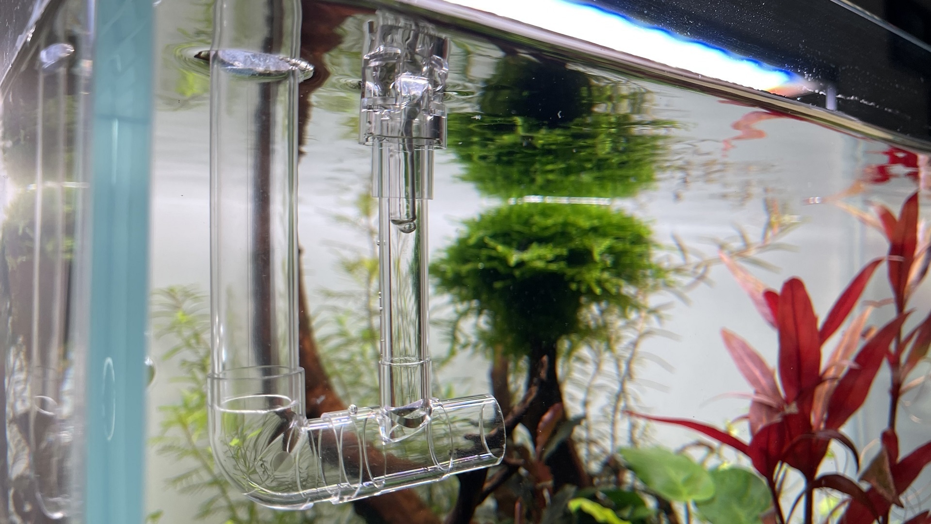 Het aquarium topic - Deel 9 - Algemene zaken - GoT