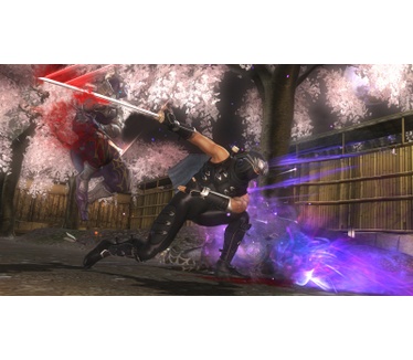 Ninja Gaiden Sigma II