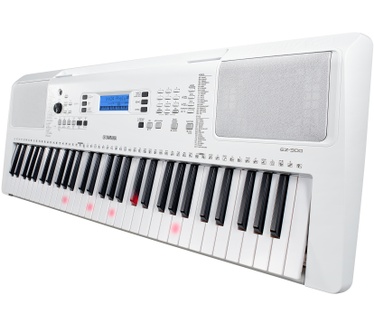 Yamaha EZ-300