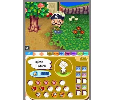 Animal Crossing - Wild World, Nintendo DS