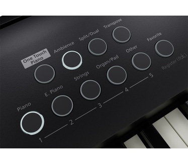 Roland FP-E50