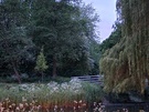 Cameratest OnePlus 10 Pro - Foto's 's avonds - zoom- en groothoekcamera