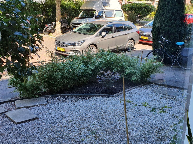 Afbeeldingslocatie: https://tweakers.net/i/XkwNZkQoQHvRQwivtX4oOEfoxwQ=/800x/filters:strip_icc():strip_exif()/f/image/qZwNAkMv5w3kciyxRFAnM7Xi.jpg?f=fotoalbum_large