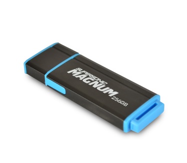 Patriot Supersonic Magnum 256GB Zwart