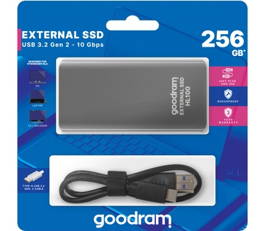 Goodram HL100 256GB Grijs