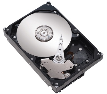 Maxtor DiamondMax 20 60160K0, 160GB