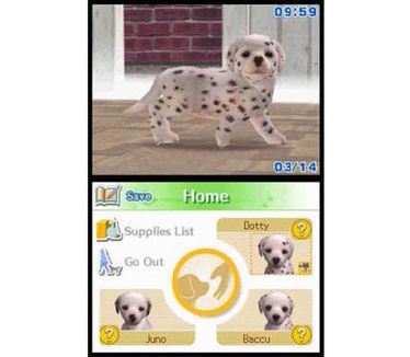 Nintendogs Dalmatiers & Friends, Nintendo DS