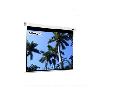 Celexon Professional 300x300cm