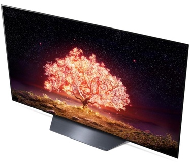 LG OLED55B13LA