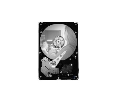 Seagate Barracuda 7200.10 ST380215A