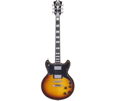 D'Angelico Guitars DELUXE BRIGHTON